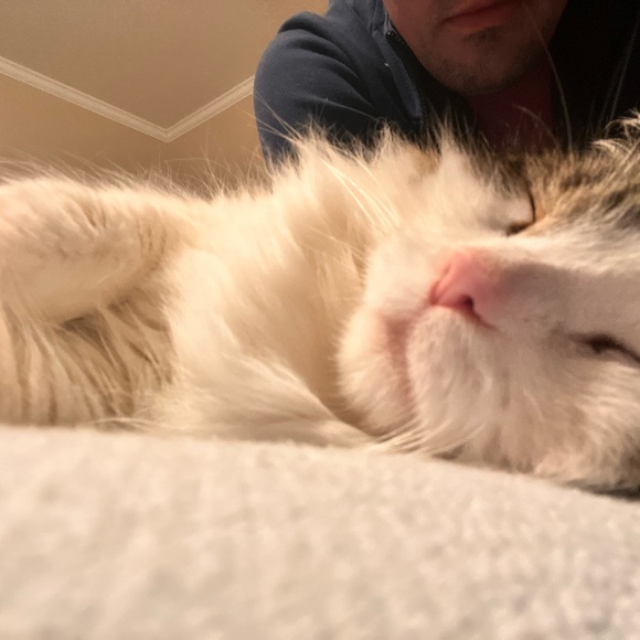 Meet your Posher, Rip - Picture 7 of 7